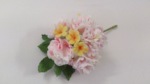 Sugar carnations, primrose